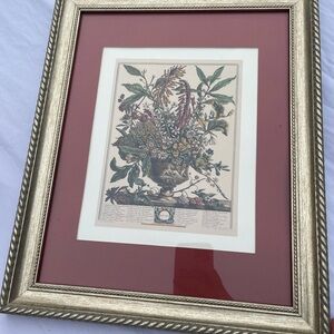 Framed Robert Furber Floral Calendar Botanical Print
